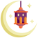 moon moon